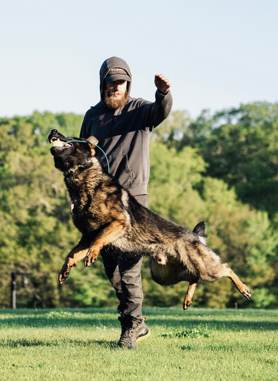 🐾 Creatine for Dogs? Yep!