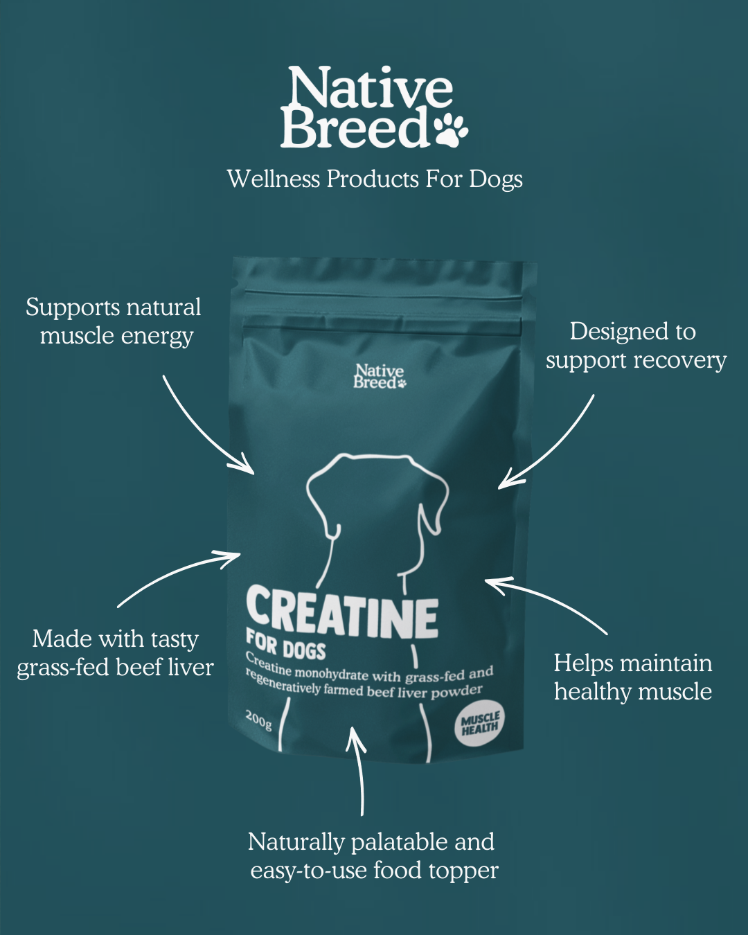Creatine + Grass-fed Liver Powder