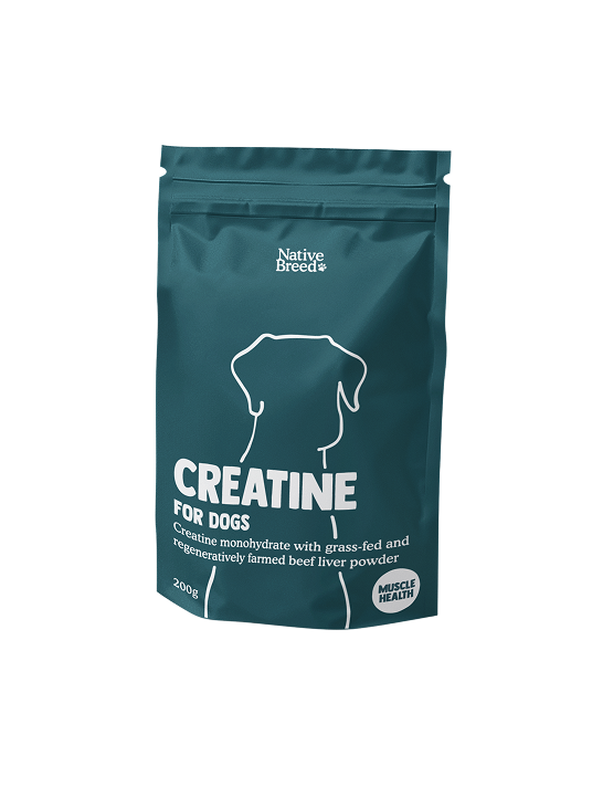 Creatine + Grass-fed Liver Powder