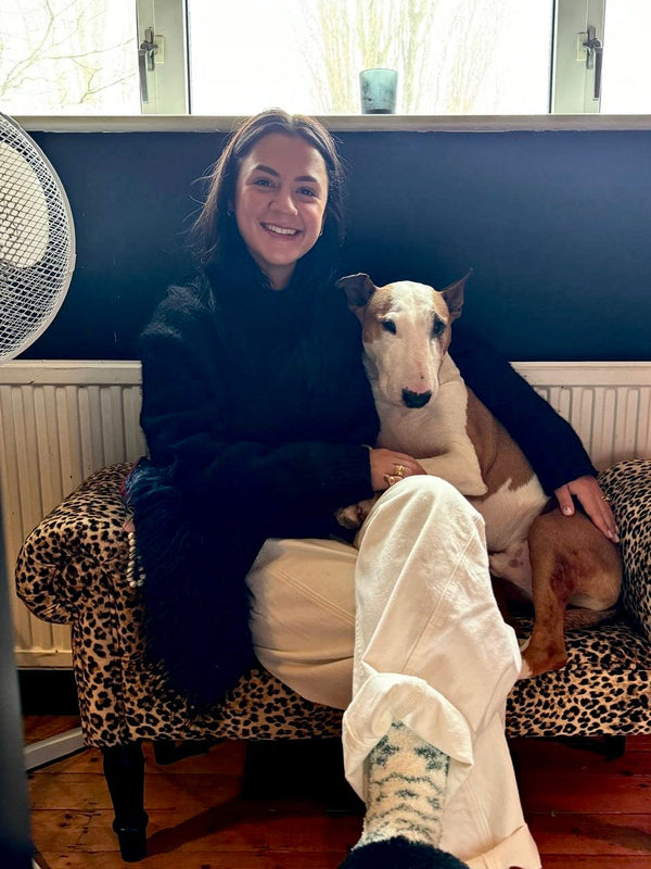 Chessie, with Frank the Bull Terrier